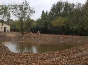 Création étang création d'un étang, par David Nottin, a Marsillargues,