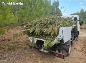 Evacuation déchets verts évacuation des branchages verts, par camion benne, à Sussargues, Baillargues, Vendargues, tractopelle, minipelles, Mauguio, Vendargues, Vauvert, Castries, Aimargues, lunel, par David Nottin pour les particulier ou les professionnels