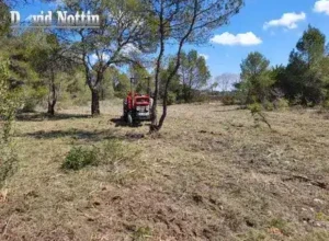 Gyrobroyeur pâturage giboyeur à Sussargues pour le déchiffrement, le bois, par david nottin