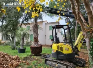 Plantation plantation par David Nottin, terrassement, mise en forme, défrichage du bois, pour les particuliers, les professionnelles et communes