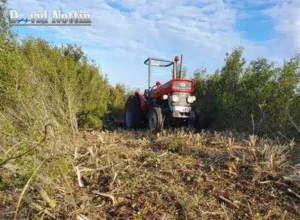 Protection contre incendie OLD protection contre les incendies, débroussaillage, tracteur, par David Nottin