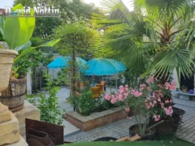 jardin arborée avec terrasse de david Nottin, location saisonnière, studio dans un mas, chambre d étudiante, à Sussargues entre Montpellier et Palavas, au bord de la mer avec piscine